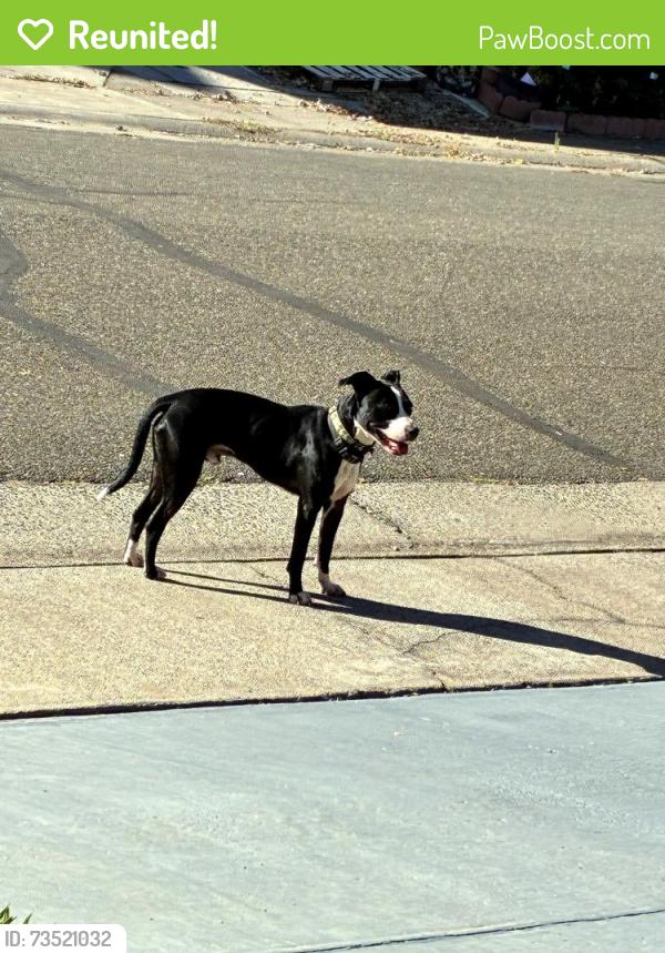Reunited Male Dog last seen Cadura circle, Elk Grove, CA 95624