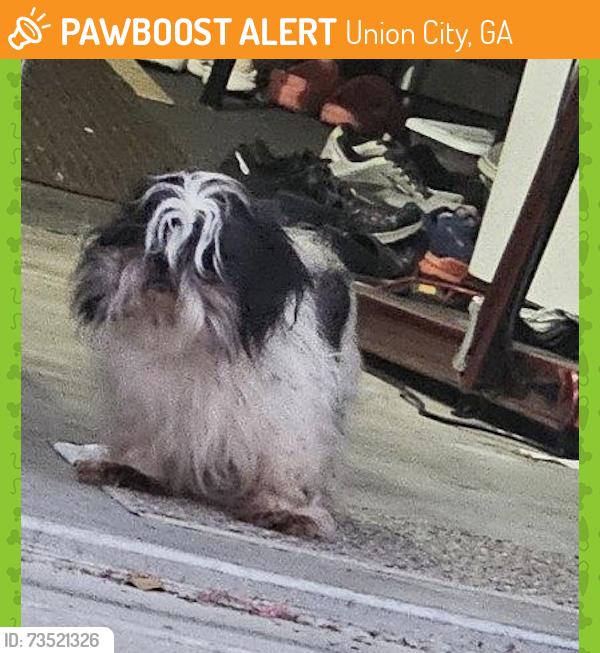 Found/Stray Unknown Dog last seen Blue Fin Trail Union City, Union City, GA 30291