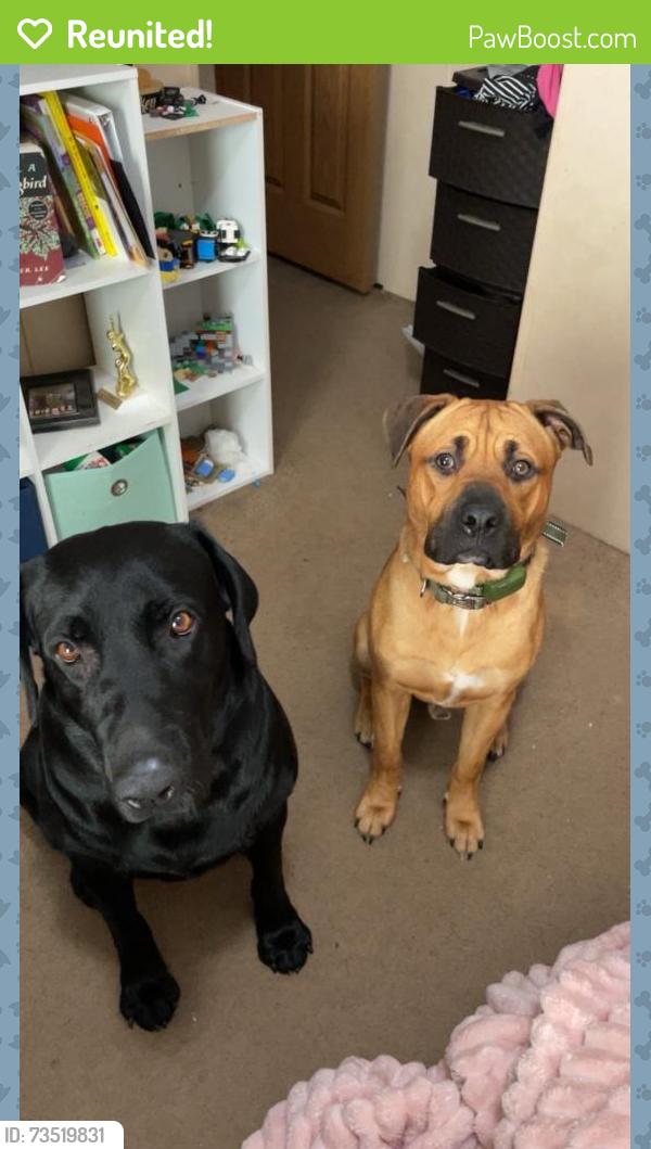Reunited Male Dog last seen Woodlawn Rd, Louisiana, USA, Vermilion Parish, LA 70508