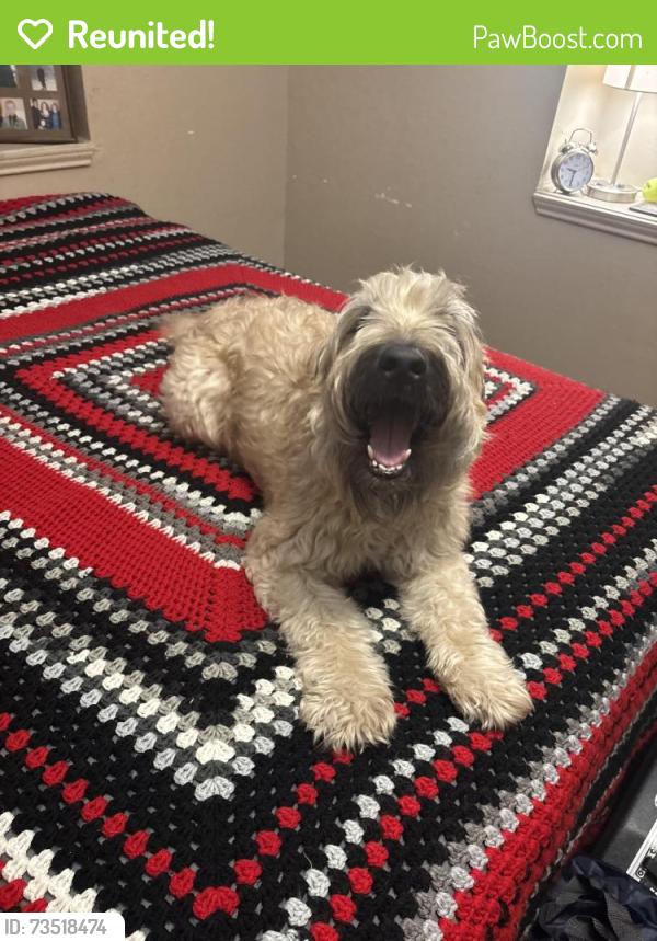 Reunited Male Dog last seen Cassowary, Conroe, TX 77385