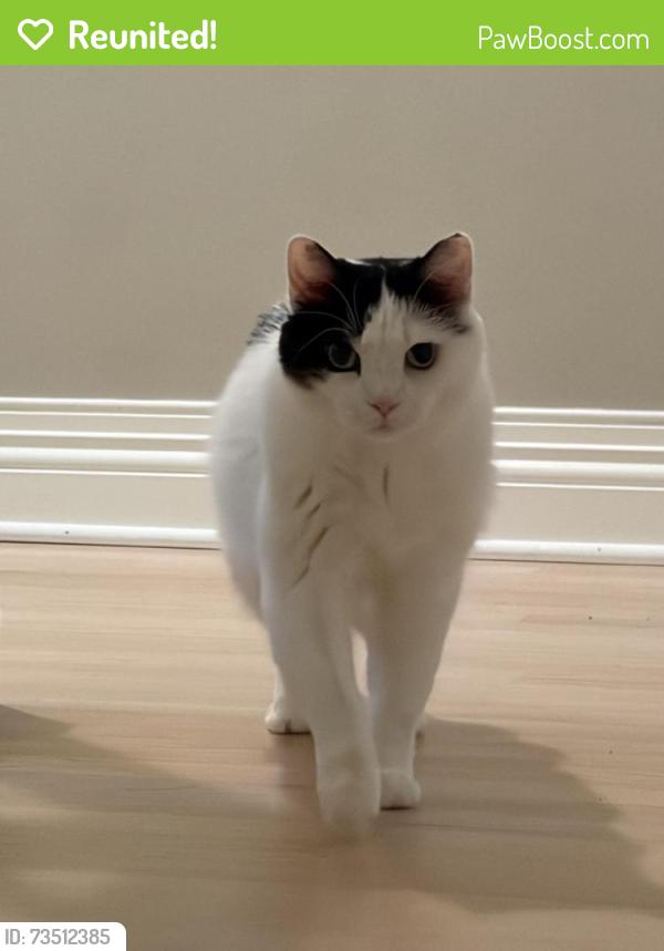 Reunited Female Cat last seen 53rd & Washburn, Minneapolis, MN 55410