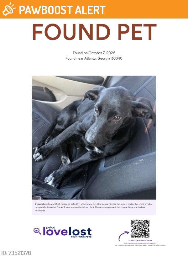 Found/Stray Female Dog last seen Buford highway, Gwinnett County, GA 30340