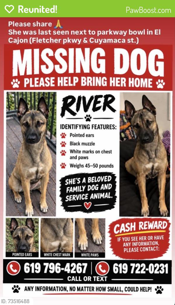 Reunited Female Dog last seen Cuyamaca Street, El Cajon, CA 92020