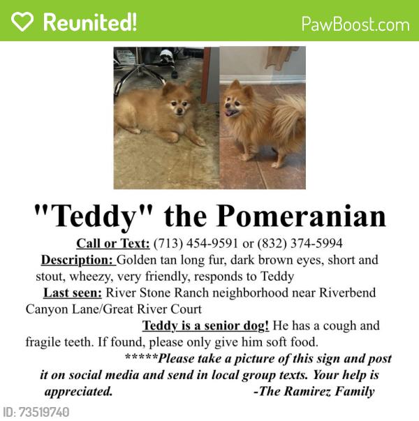 Reunited Male Dog last seen Great River Court, Houston, TX 77089