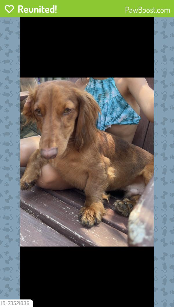 Reunited Male Dog last seen Seneca, Valley Center, KS 67147