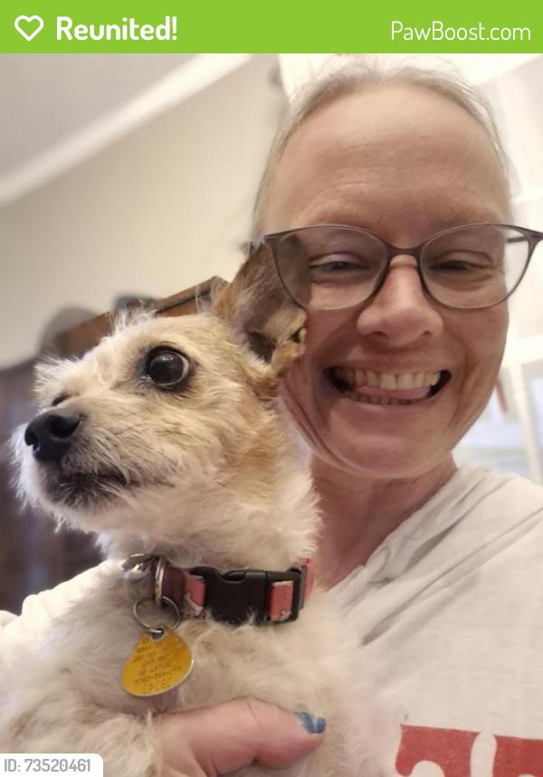 Reunited Female Dog last seen Bellview St, Winder, GA 30680