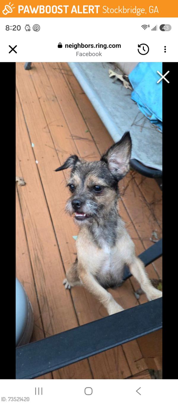 Found/Stray Female Dog last seen E. Atlanta rd, Stockbridge, GA 30281