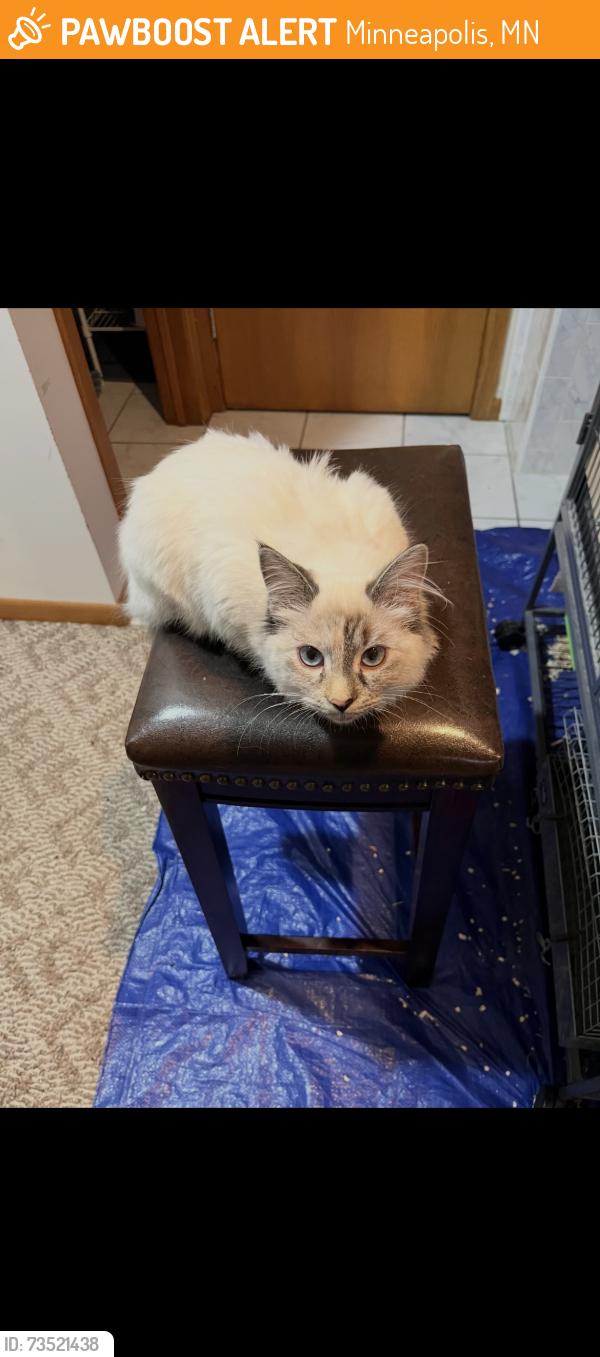 Found/Stray Female Cat last seen Shoreview Dr, Minneapolis, MN 55422