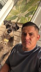 Reunited Male Dog last seen Near logan dr la Vergne, La Vergne, TN 37086