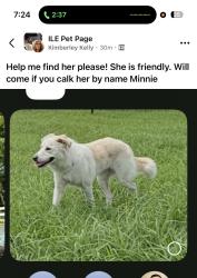 Reunited Female Dog last seen Imperial Oak and Sycamore Ct, Magnolia, TX 77355