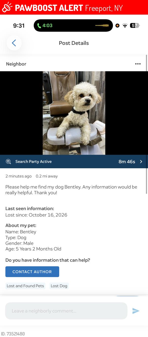 Lost Male Dog last seen Ray and Garfield, Freeport, NY 11520