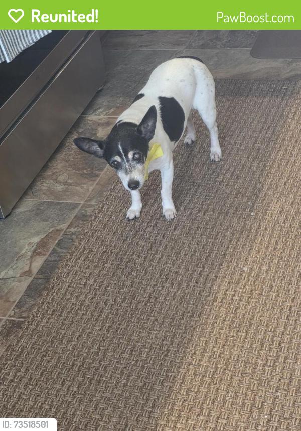 Reunited Male Dog last seen Near S 72nd Ave, Pensacola, FL 32506
