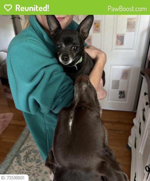 Reunited Female Dog last seen Beveridge Middle School, Omaha, NE 68144