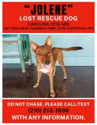 Lost Female Dog last seen Camargo park, San Antonio, TX 78237