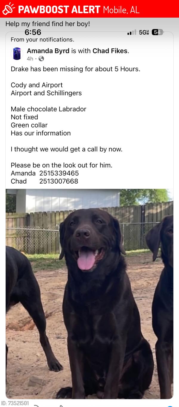 Lost Male Dog last seen Cody Rd, Mobile, AL 36695