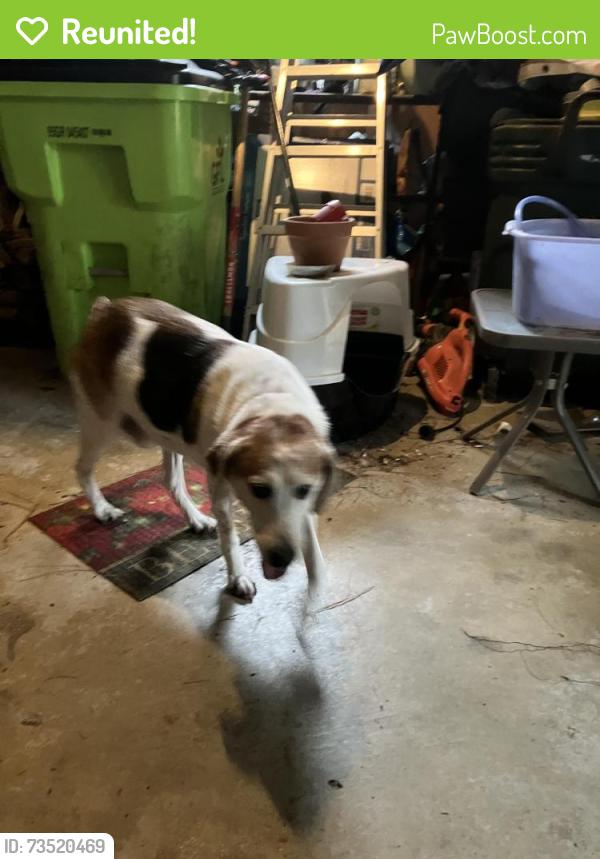 Reunited Male Dog last seen Horse Shoe Bend, Trent Woods, NC 28562