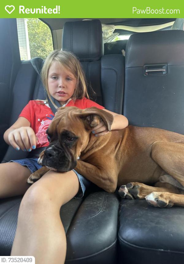 Reunited Male Dog last seen St Luke’s church, Barrington, RI 02806