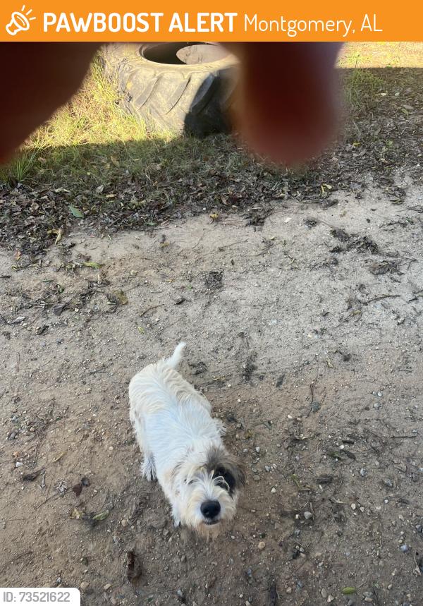 Found/Stray Female Dog last seen Wares ferry road, Montgomery, AL 36117
