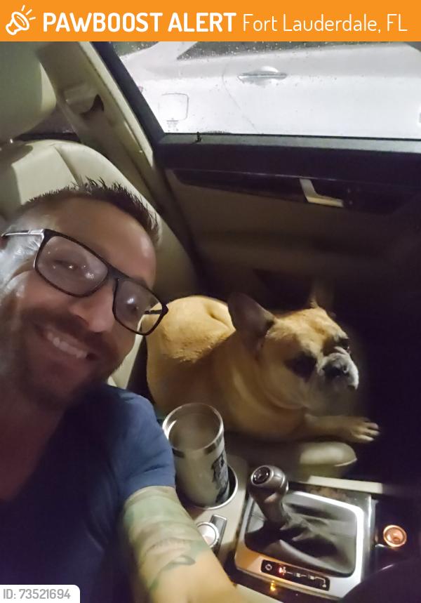 Found/Stray Male Dog last seen Near sw 4th Ave, Fort Lauderdale, FL 33315