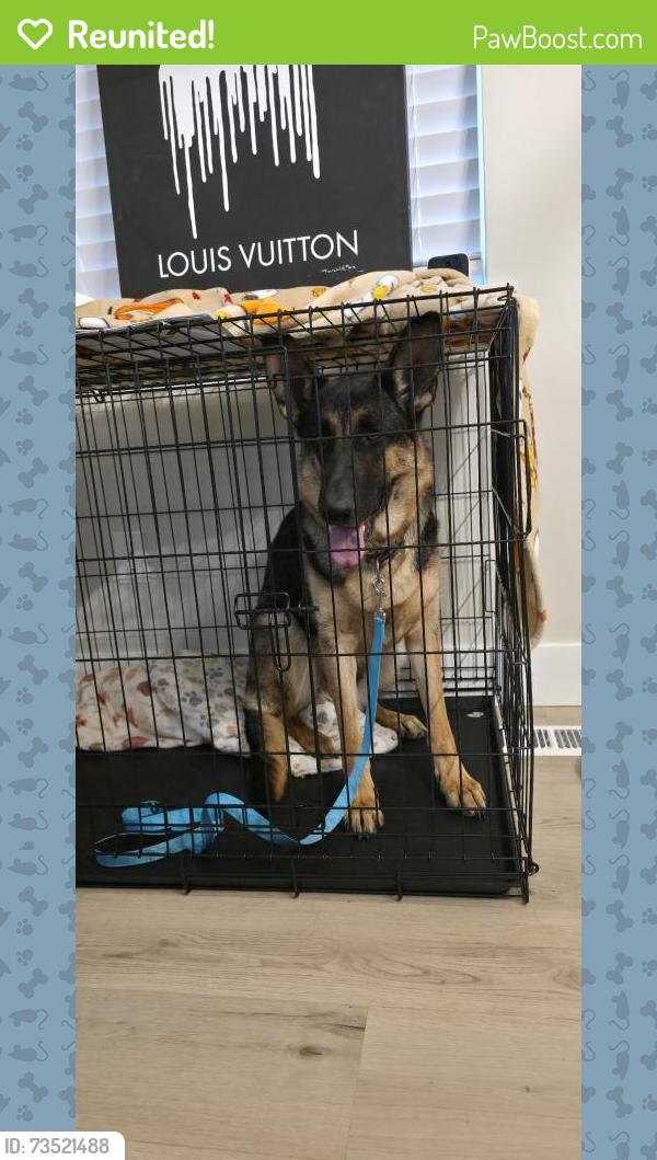 Reunited Female Dog last seen Star, ID, USA, Star, ID 83669