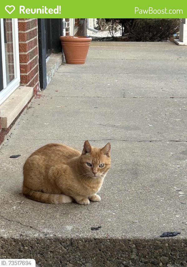 Reunited Male Cat last seen Eastlawn between Northlawn and Centerlawn, East Lansing, MI 48823