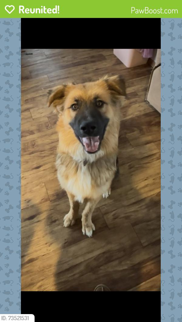 Reunited Male Dog last seen Near, Fort Collins, CO 80525