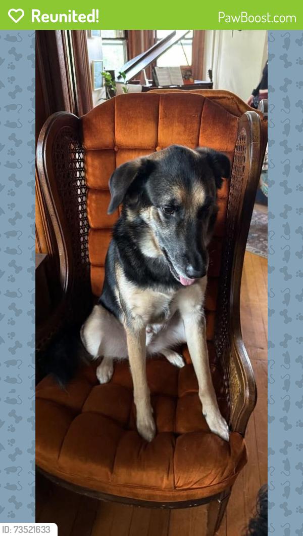 Reunited Male Dog last seen Marshall and kent, Saint Paul, MN 55102