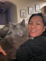 Lost Male Cat last seen Enclave at Mission ests, Odessa, TX 79765