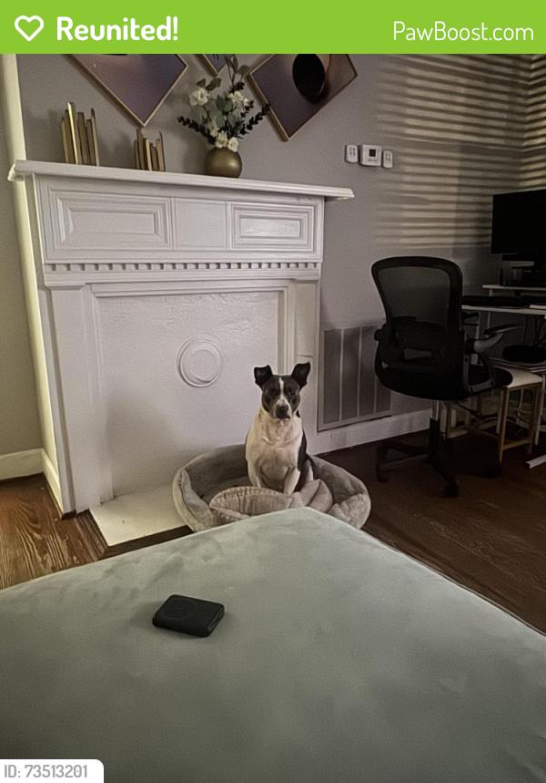 Reunited Male Dog last seen Near Main Street graniteville, Graniteville, SC 29829