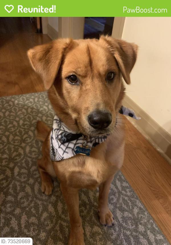 Reunited Male Dog last seen Perkins Woods, Evanston, IL 60201