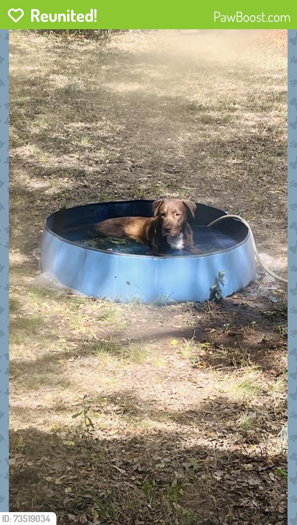Reunited Male Dog last seen Near W Larkin St, Athens, TX 75751, USA, Athens, TX 75751