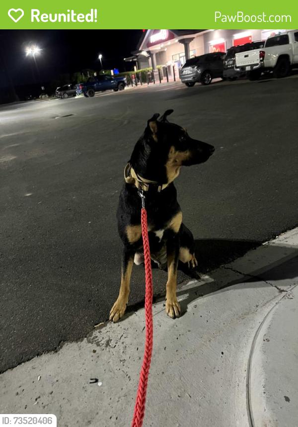 Reunited Male Dog last seen Todd Park, Edina, MN, Edina, MN 55424