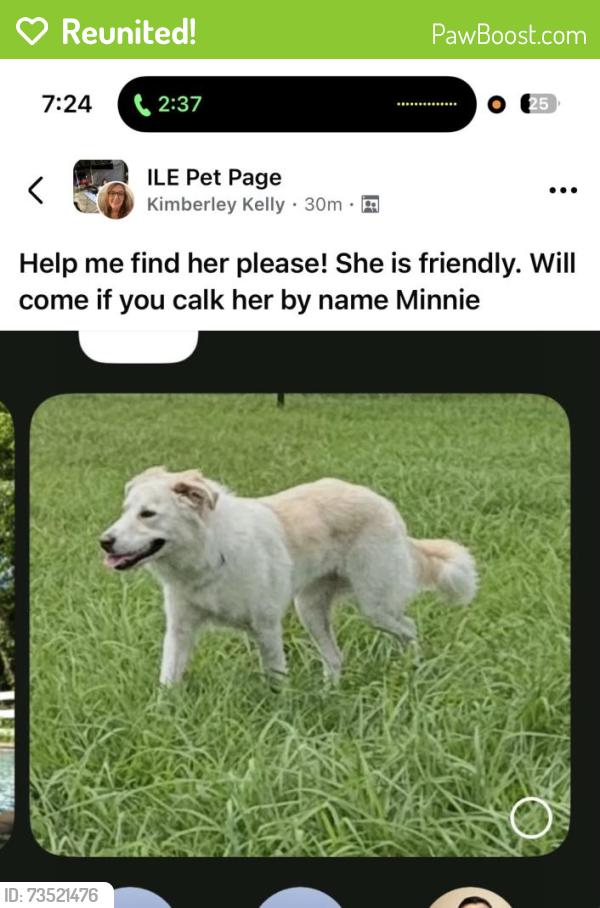 Reunited Female Dog last seen Imperial Oak and Sycamore Ct, Magnolia, TX 77355