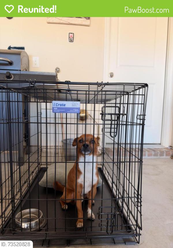 Reunited Male Dog last seen Rancho Verde Parkway & E Rancho Diego Ln, Fort Worth, TX 76036