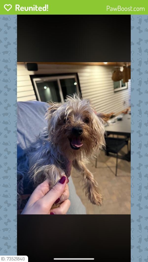 Reunited Male Dog last seen Camden Ave, El Cajon, CA 92020