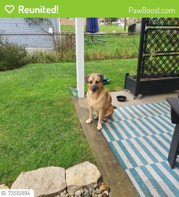 Reunited Male Dog last seen Near Hillgrove Cemetery, Miamisburg, OH 45342