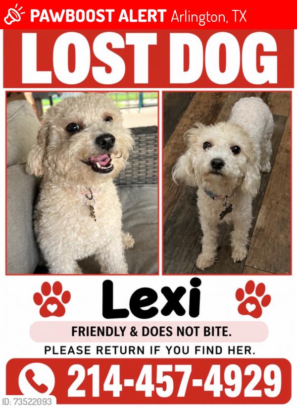Lost Female Dog last seen Sublett road, Arlington, TX 76018