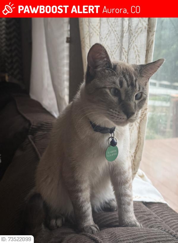 Lost Male Cat last seen E Wyoming place, Aurora, CO 80018