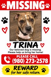 Lost Female Dog last seen Shamrock Tipperary Sharon Amity, Charlotte, NC 28205