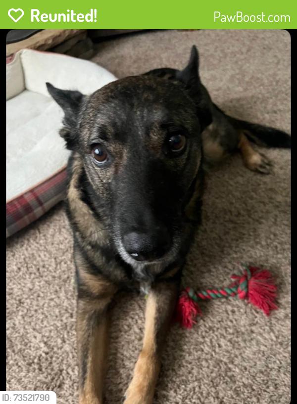 Reunited Male Dog last seen Golden gate lane, Cumming, GA 30040