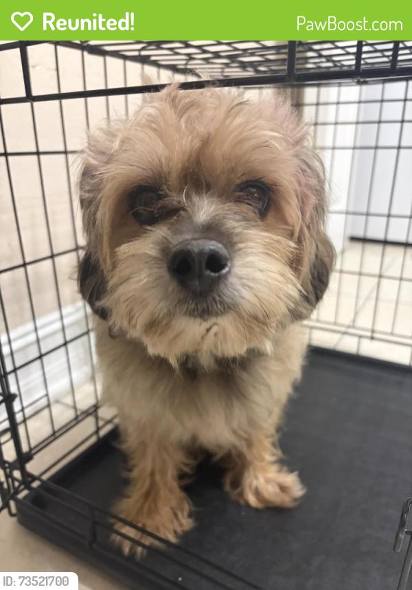 Reunited Male Dog last seen Goldenrod and Bates Rd, Winter Park, FL 32792