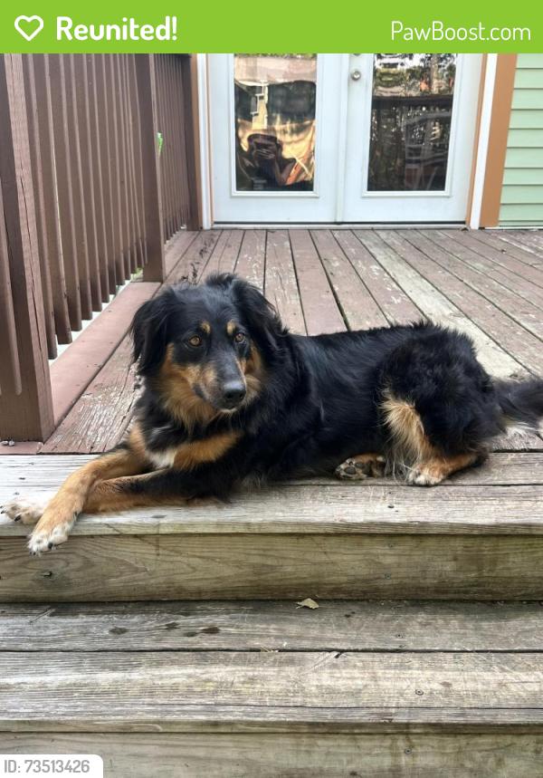 Reunited Female Dog last seen Near Chubb Lake & Coffee Creek, Chesterton, IN 46304