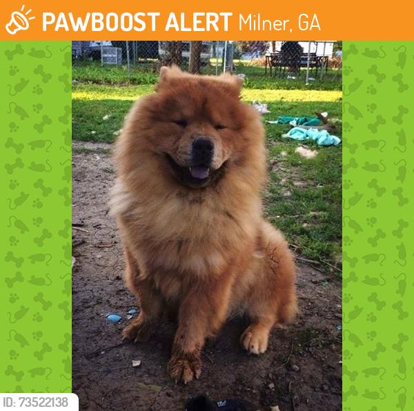 Found/Stray Unknown Dog last seen Side of road on Highway 41 between Milner heading towards Spaulding County, Milner, GA 30257