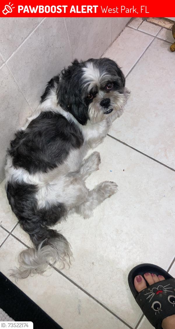 Lost Female Dog last seen Vista por vecina debajo de porche en trailer siguiente de mi casa, West Park, FL 33023