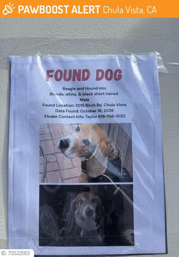 Found/Stray Male Dog last seen Otay ranch center, Chula Vista, CA 91915