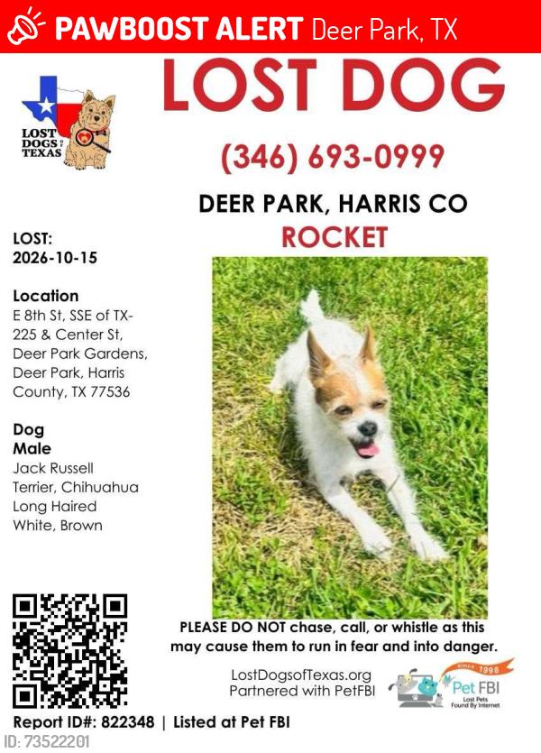 Lost Male Dog last seen Ivy, thirteen, Deer Park, TX 77536