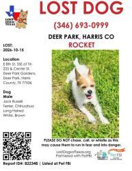 Lost Male Dog last seen Ivy, thirteen, Deer Park, TX 77536