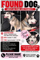 Reunited Male Dog last seen 68th St SE, Caledonia, MI, USA, Caledonia, MI 49316