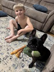Lost Male Dog last seen Park Road 1C, Smithville, TX 78957