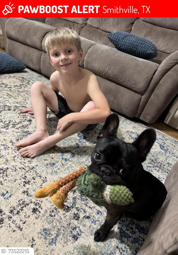 Lost Male Dog last seen Park Road 1C, Smithville, TX 78957